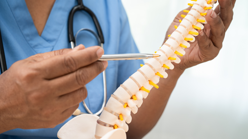 Artificial Disc Replacement vs. Spinal Fusion