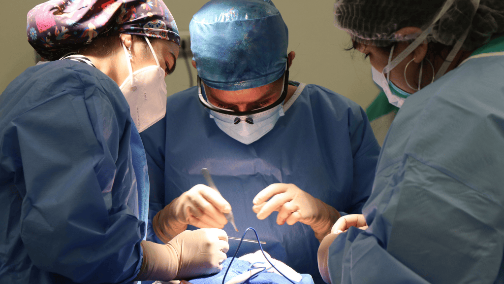 What to Expect After Cataract Surgery