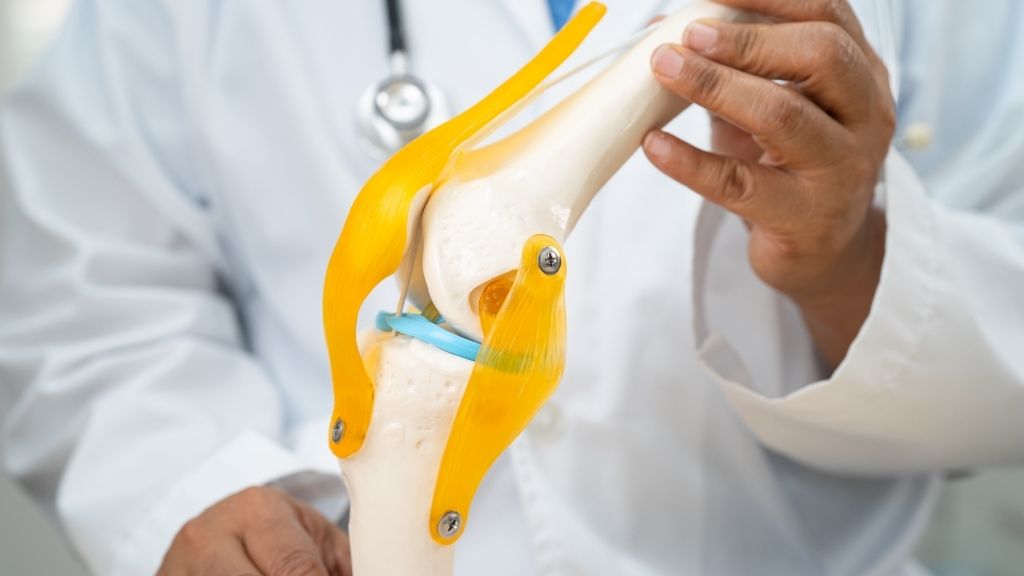 Medic care ține în mână un model anatomic de genunchi pentru a explica tratamentul avansat al osteoartritei genunchiului
