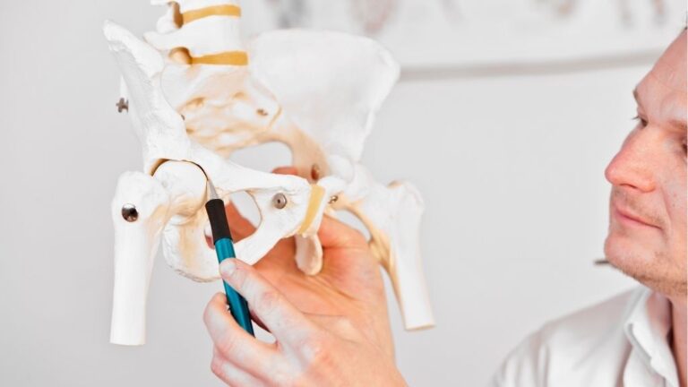 Medic care ține în mână un model anatomic de șold pentru a explica osteoartrita severă a șoldului